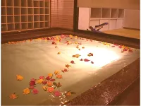 Hotel Platon Annex Green Plaza - Hot Springs