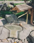 Hotel Platon Annex Green Plaza - Hot Springs
