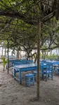 Cafe de Paris Homestay - bar