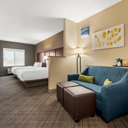 Comfort Suites Cullman I-65 Exit 310 Отели в г. Калмэн