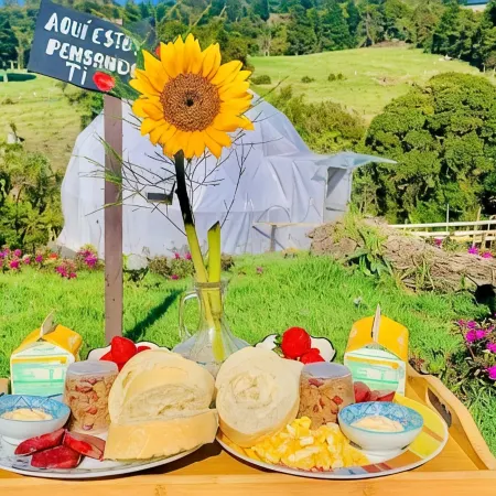 Poas Volcano Observatory Lodge & Glamping