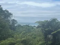 Green Serenity. Hotels in Hahei