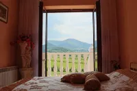 Grand Panorama - homestay