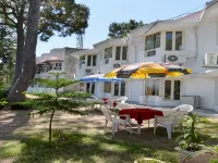 Mountain Quail Morni Hotels in Panchkula