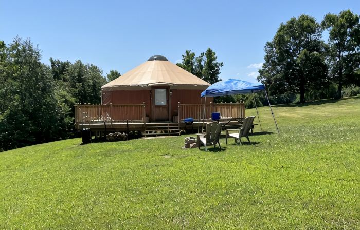 Pet friendly glamping in a private yurt with stunning 360° views by Forest