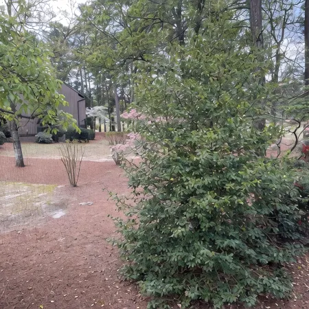 Charming Pinehurst Golf Front Condo