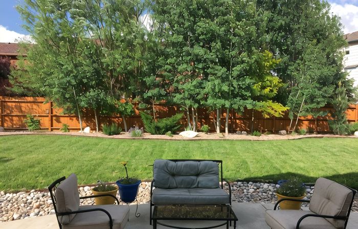 Quiet Family Friendly Home Near Afa/Downtown Monument/I25 - Great Monthly Rates!