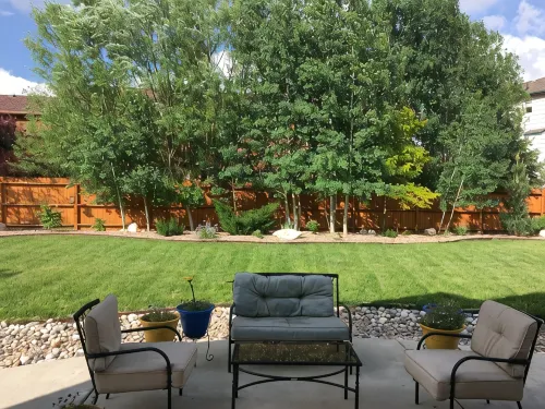 Quiet Family Friendly Home Near Afa/Downtown Monument/I25 - Great Monthly Rates! - Wifi