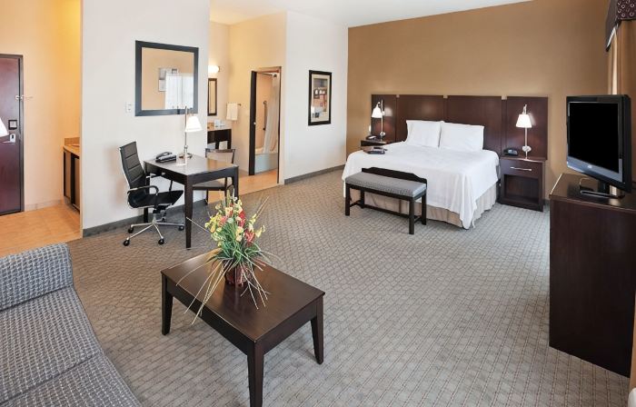 Hampton Inn & Suites Dumas