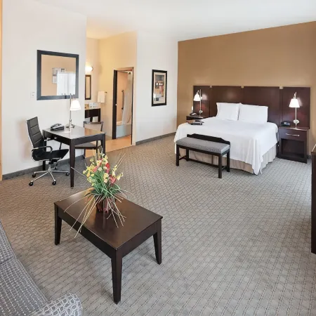 Hampton Inn & Suites Dumas