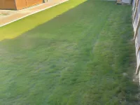 聖奧爾班斯時尚套房帶小廚房 聖奧爾本斯市酒店