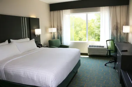 Holiday Inn Express & Suites Hendersonville SE - Flat Rock