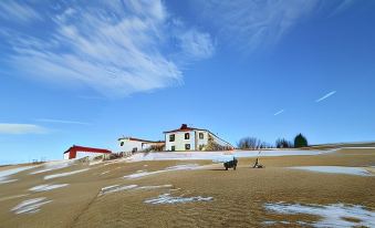 Grásteinn Guesthouse