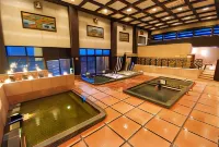 Nara Plaza Hotel - Pemandian Air Panas