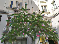 Salerno Vittoria Guest House Hotel in zona Corso Vittorio Emanuele