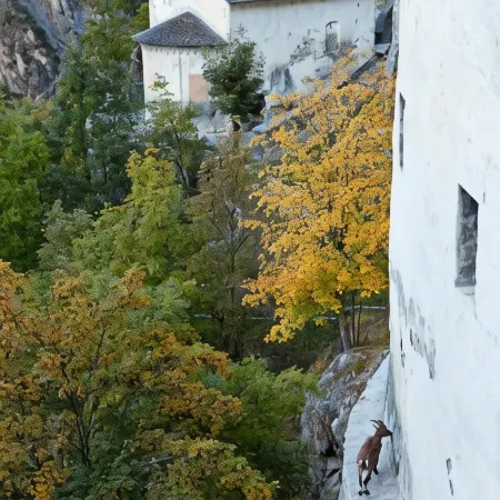 QC Hotel Bagni Vecchi