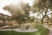 Paso Robles Inn Hotels in Paso Robles