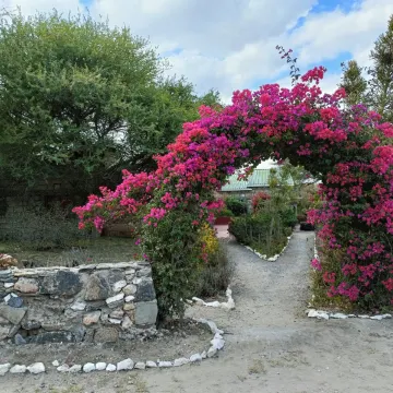 Trata' Leka Hotel - Housity