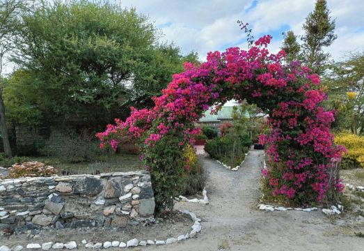 Masai Eco Lodge - Housity