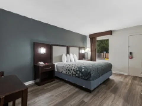 Econo Lodge Cheraw Market Street Hotels in Cheraw