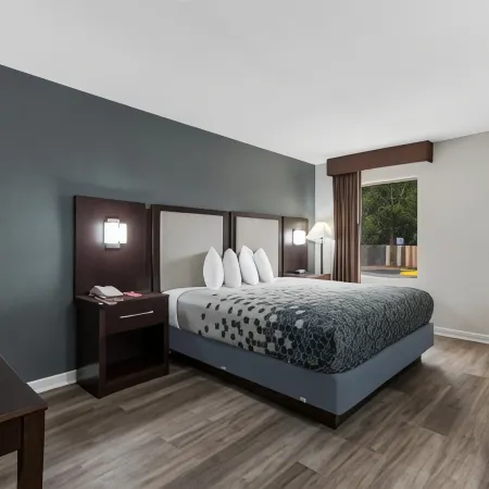 Econo Lodge Cheraw Market Street