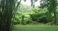 Bridge Hotel Negombo Hotels in Miriswatte
