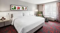 Hilton Garden Inn Albuquerque North Rio Rancho Hotels in Corrales