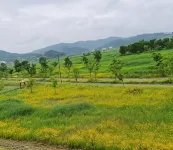 Buyeo Eoksae Jeongwon Pension فنادق في بويو-غون