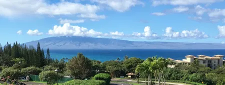Luxurious Condo with Absolute Best Ocean Views in Kapalua Отели рядом с достопримечательностью «Kapalua Labyrinth»