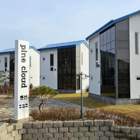 Sinan Pine Cloud Pension