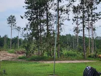 Knotty Pine Cabin: 2 Bdrm 1 Bath, New Sealy Queens, Fireplace, <1mi. Thumb Lake.