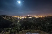 일 레 델리 스칼치