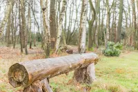 Little Seven Oaks is a one bedroom country retreat set in an ancient woodland. - 3-Star