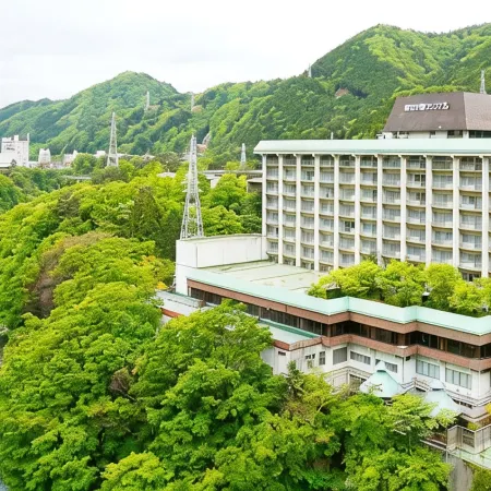 Ooedo Onsen Monogatari Premium Kinugawa Kanko Hotel