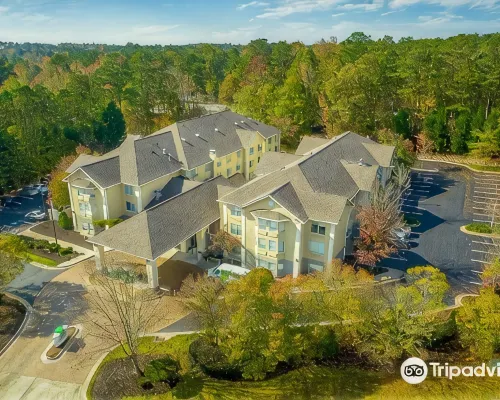 Holiday Inn & Suites PEACHTREE CITY by IHG Hotels in Fayette County