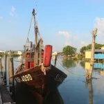 Sea Lion Bungalow Homestay Pulau Ketam