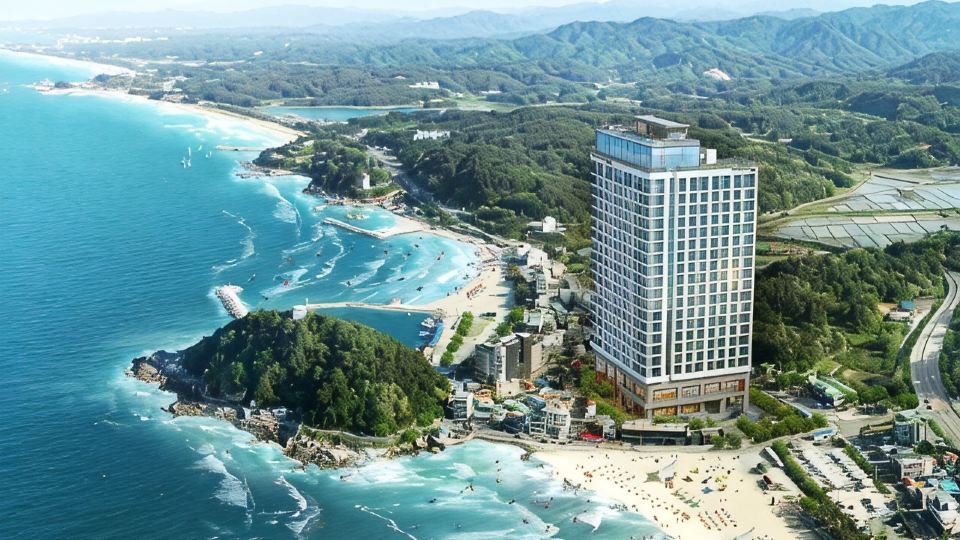 Surf Resort Yangyang Big wave