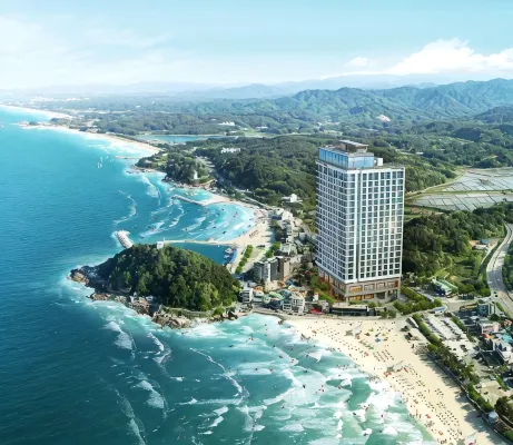 Surf Resort Yangyang Big wave