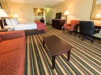 Holiday Inn & Suites ORLANDO SW - CELEBRATION AREA by IHG - parking