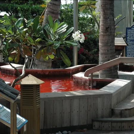 The Swanlake Villa Resort Hotel