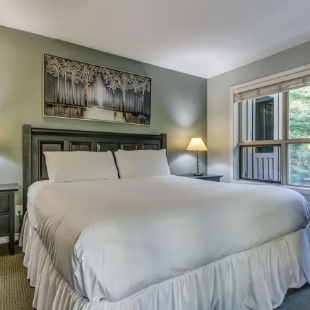 True Ski In/out Whistler Condo