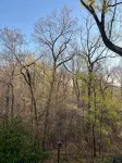 The Forest Door-The LAP of LUXURY in the HEART of Tryon-NEW apt above Harmon Fie - 4-Star