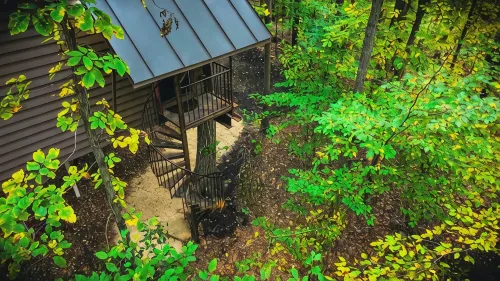 Magical Treehouse in Woods, Close many Wineries & Breweries, Pet Friendly!