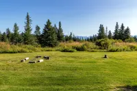 Caribou Meadows by Historic Kilcher Family Homestead in Alaska The Last Frontier - Wifi