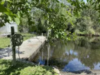 The Creek! in Old Homosassa across the street from the Freezer - Boutique
