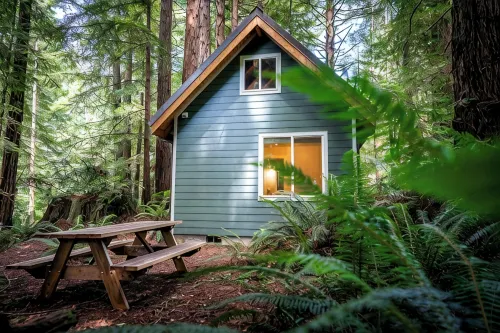Secluded Cabin in Redwood Forest - シャレー