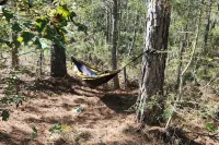 Milky Way with AC and WiFi, glamping near Houston