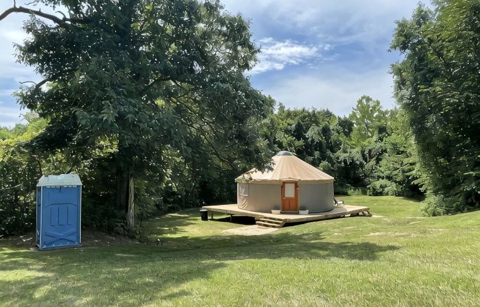 Pet friendly glamping in a private yurt with stunning 360° views by Forest