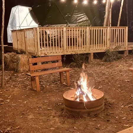 Charlotte Glamping Dome- Fawn and Fern Hideaway Отели в г. Стил Крик
