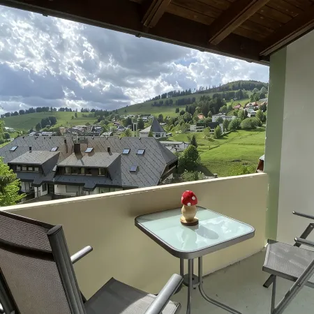 Apartment, centerpiece 'in the middle of the southern Black Forest